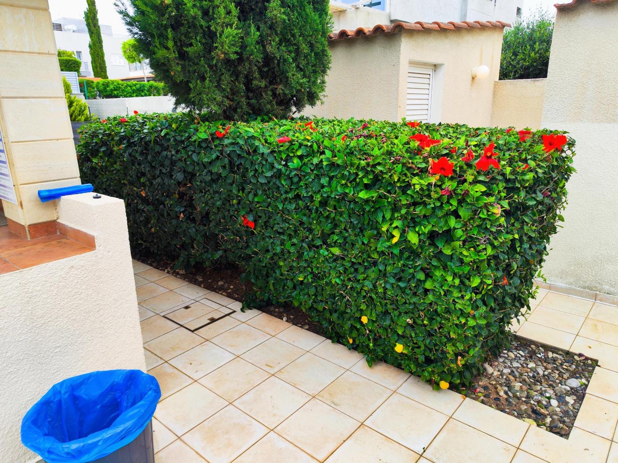 Paphos Sunset Green 01 מראה חיצוני תמונה