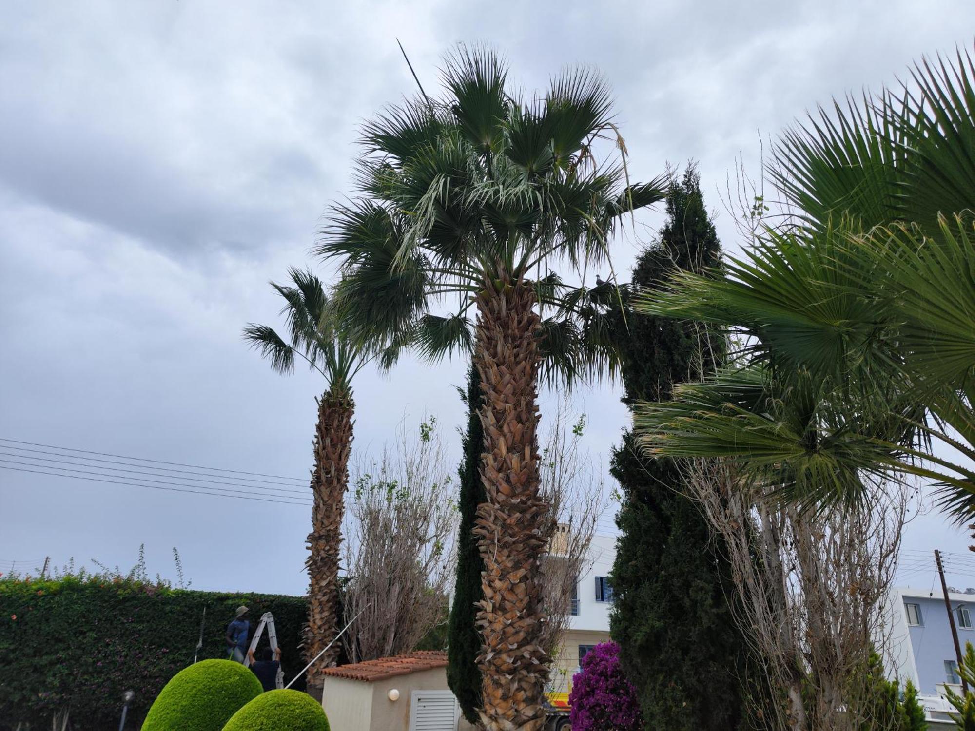 Paphos Sunset Green 01 מראה חיצוני תמונה