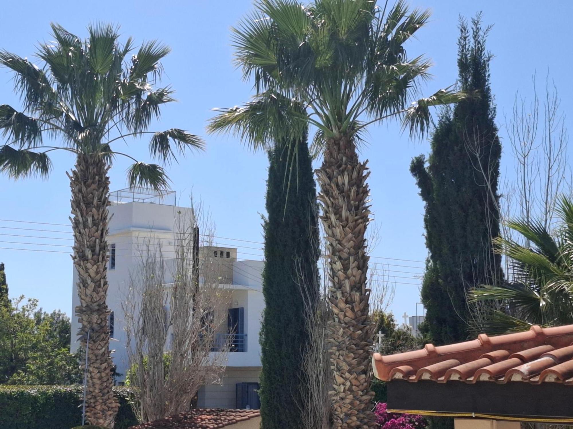 Paphos Sunset Green 01 מראה חיצוני תמונה