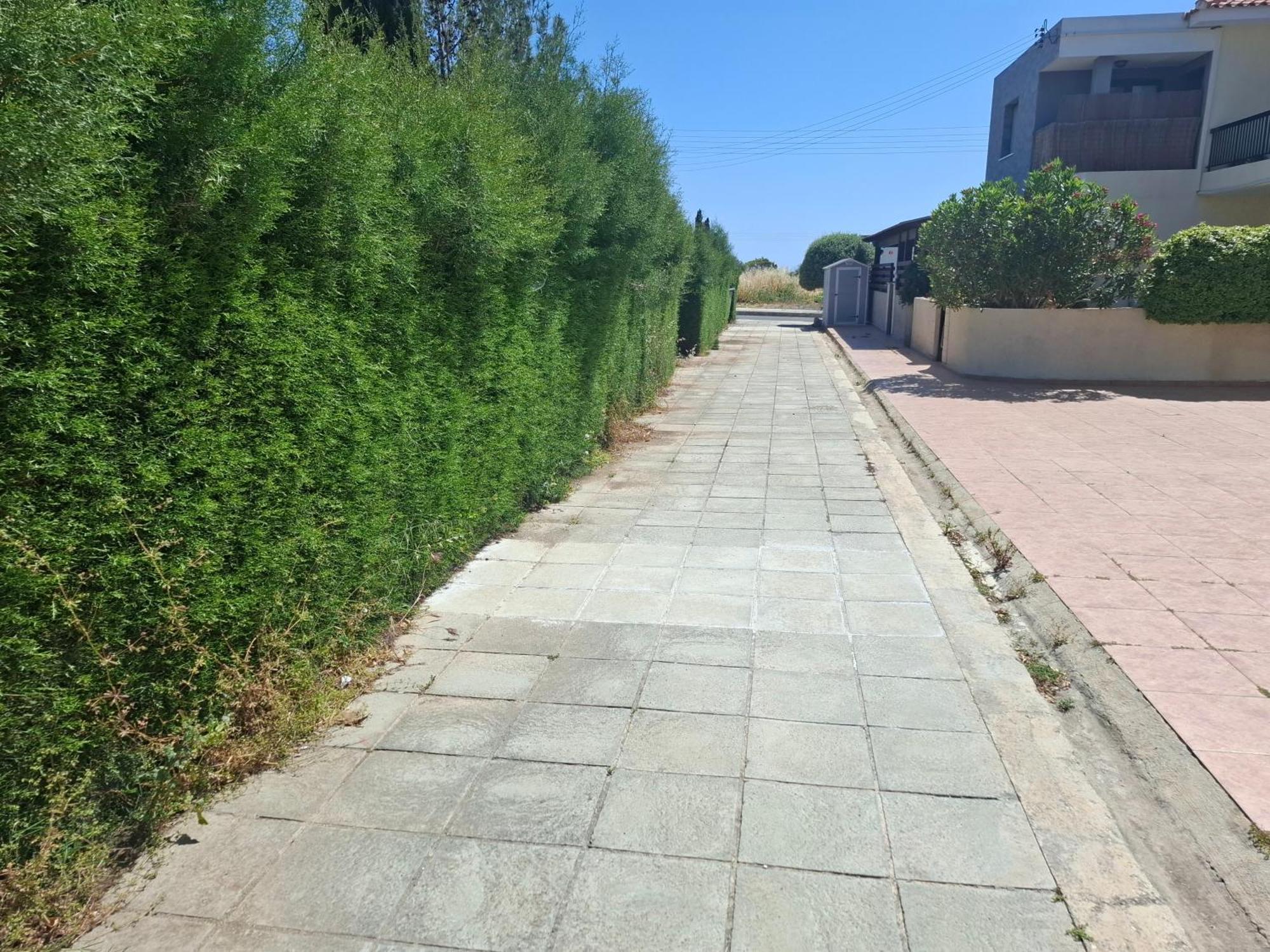 Paphos Sunset Green 01 מראה חיצוני תמונה